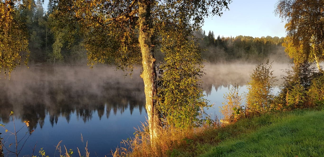 En å i ett höstlandskap där ångan stiger upp